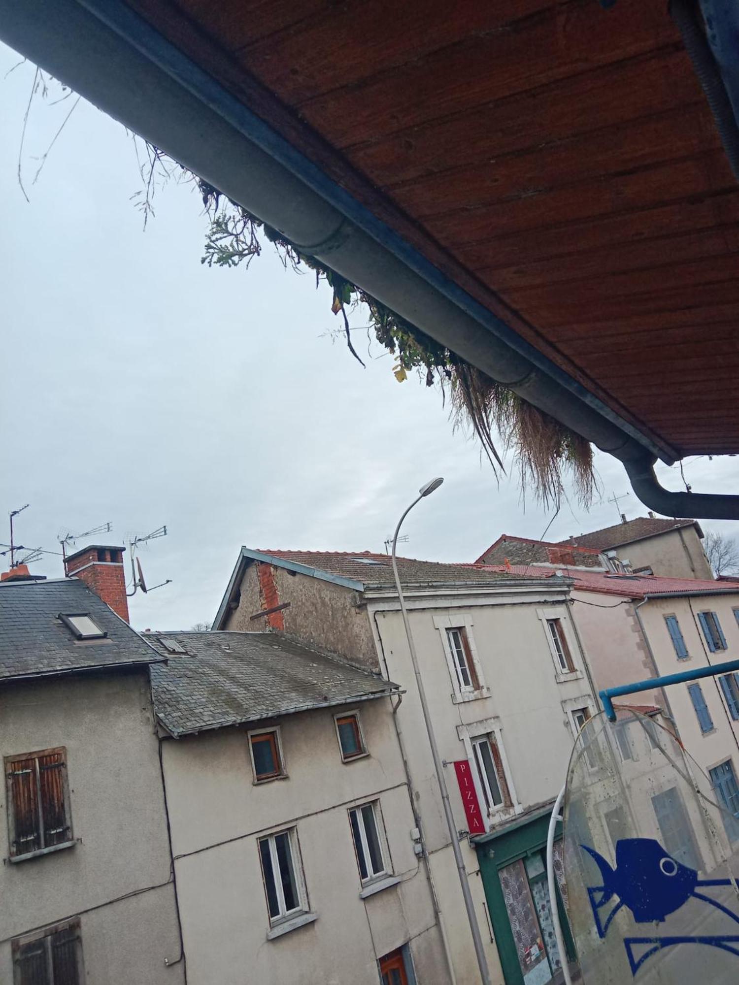 La Coquille D'Or Hotel Aixe-sur-Vienne Екстериор снимка